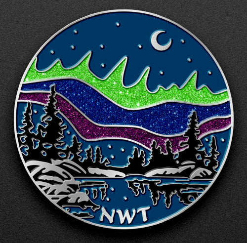 Aurora NWT Pin