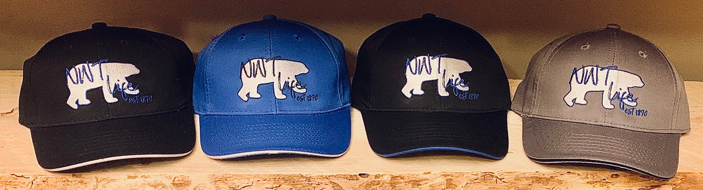 Ball Caps & Ponytail Ball Caps