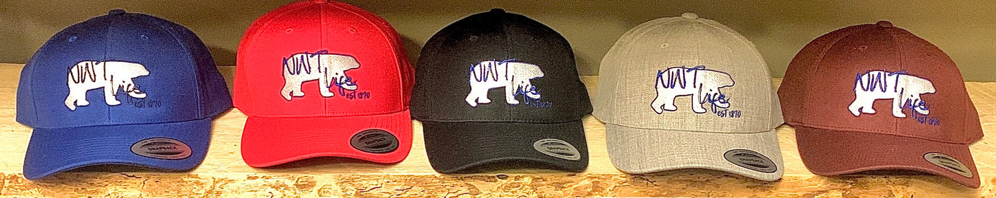 Ball Caps & Ponytail Ball Caps