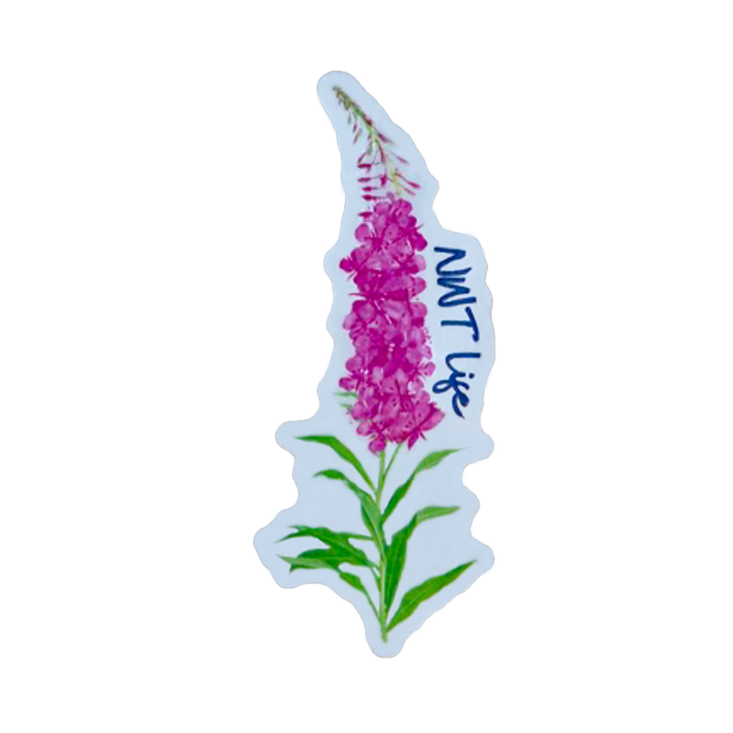 Fireweed sticker