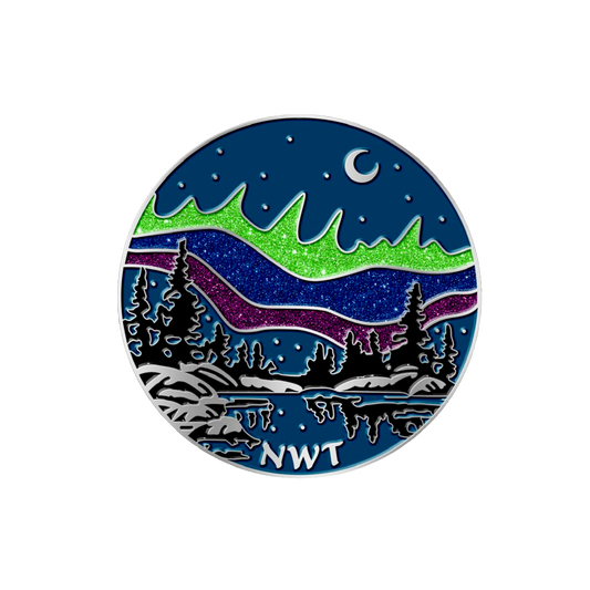 Aurora NWT Pin